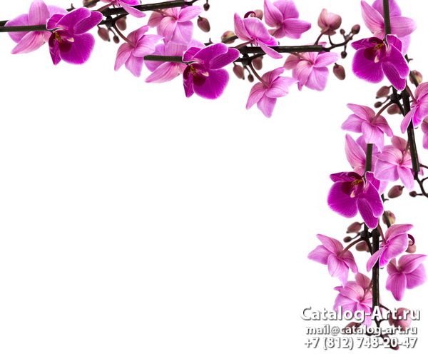 Pink orchids 26